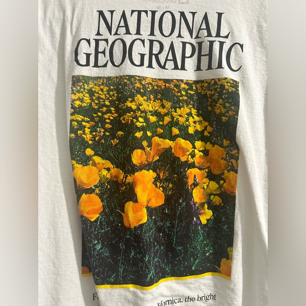National Geographic Men’s Medium T-shirt, Great Condition